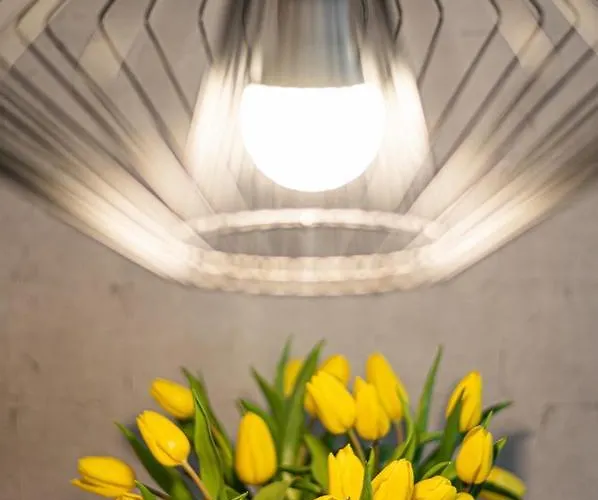 Apartmán Baltiq Plaza - Billberry